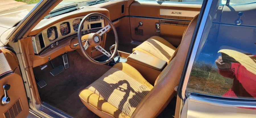 1973 AMC AMX - Image 15 of 23