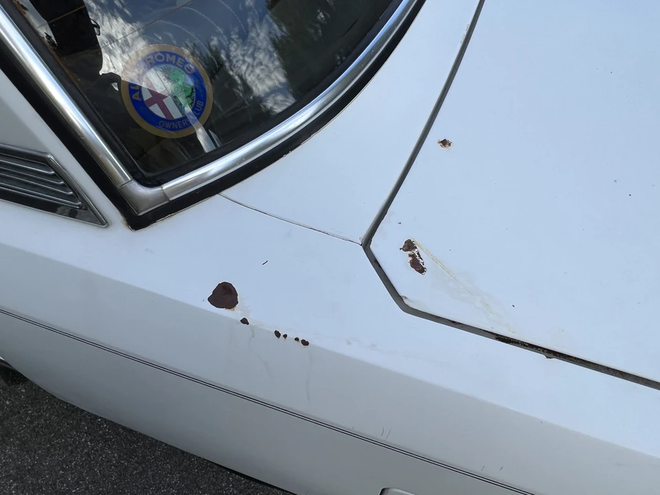 1973 Alfa Romeo 105/115 Series - Image 15 of 31