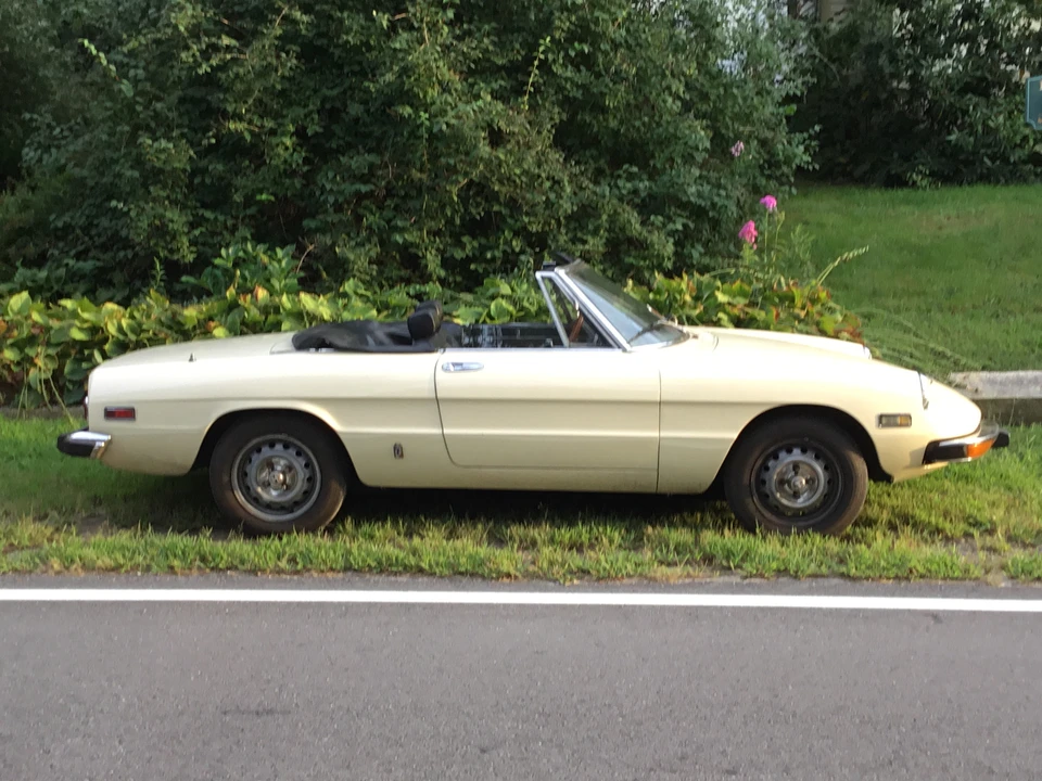 1973 Alfa Romeo Series 2 - Image 15 of 31