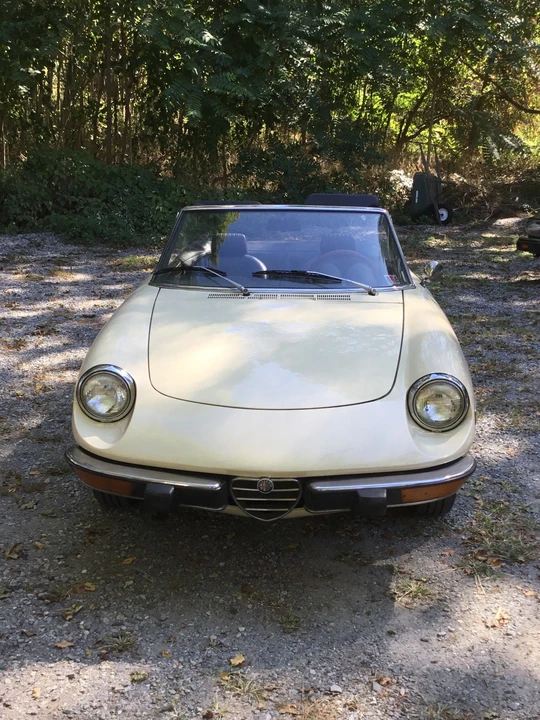 1973 Alfa Romeo Series 2 - Image 21 of 31