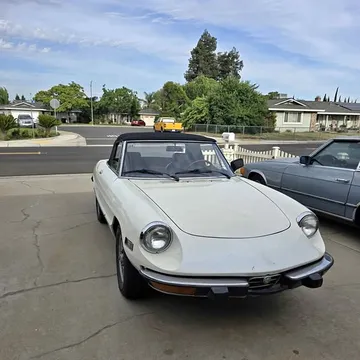 1973 Alfa Romeo Spider