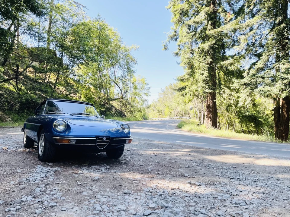 1973 Alfa Romeo Series 2 - Image 28 of 31
