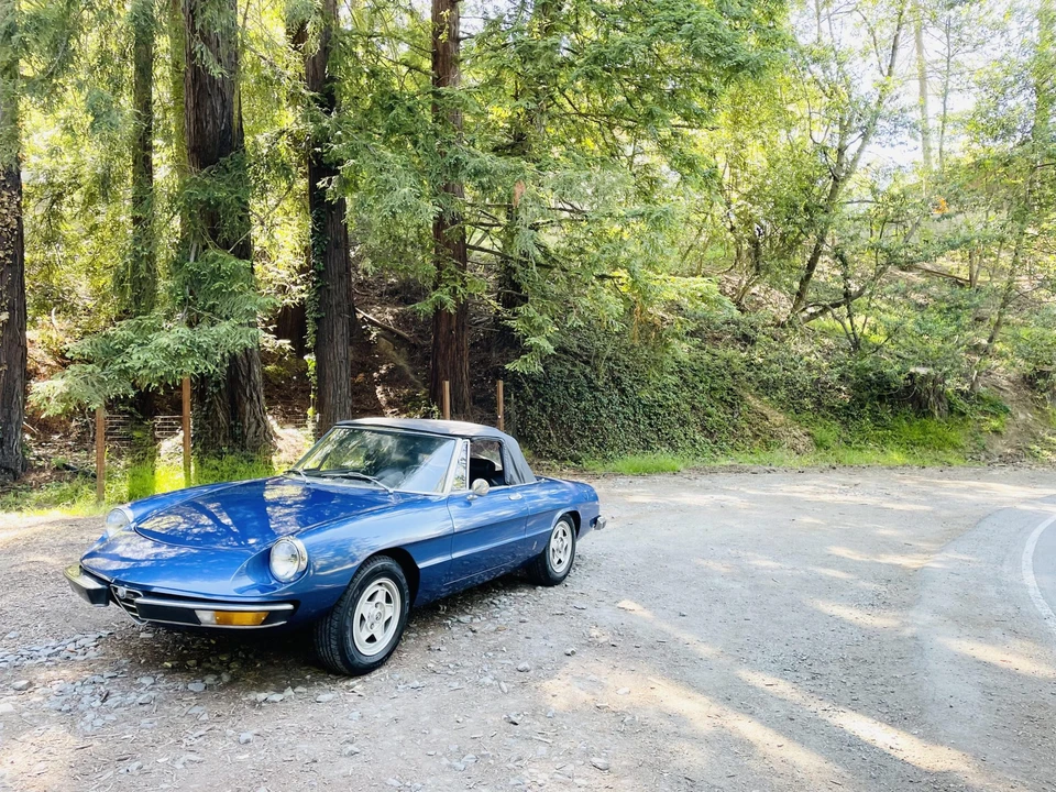 1973 Alfa Romeo Series 2 - Image 2 of 31
