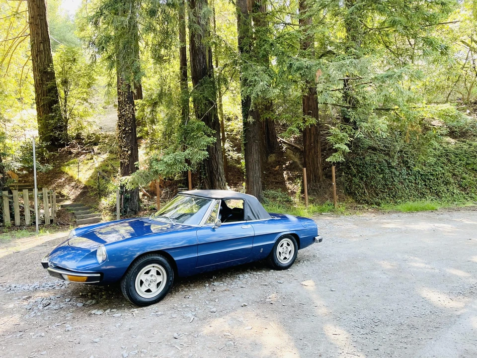 1973 Alfa Romeo Series 2 - Image 4 of 31