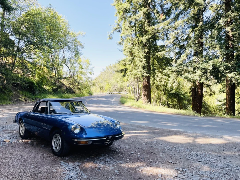 1973 Alfa Romeo Series 2 - Image 23 of 31