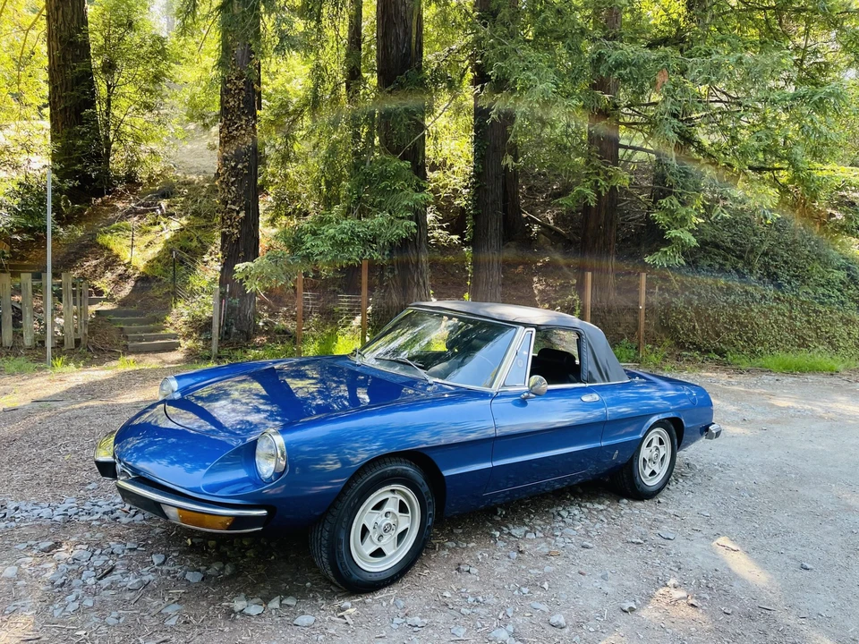 1973 Alfa Romeo Series 2 - Image 6 of 31