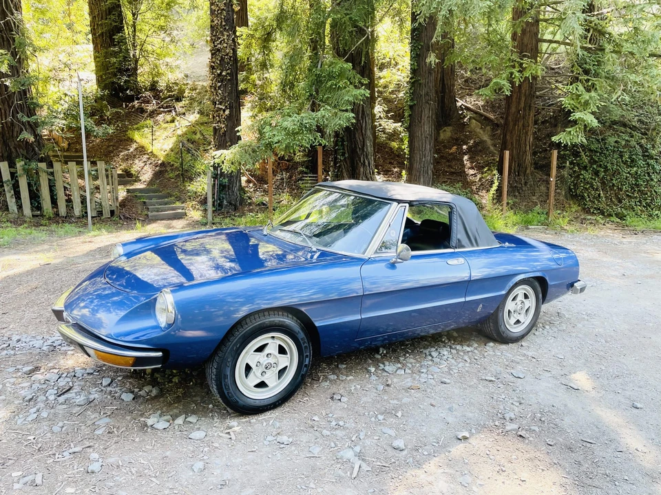 1973 Alfa Romeo Series 2 - Image 5 of 31