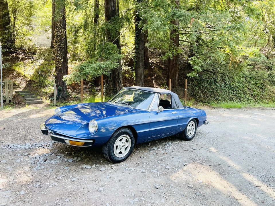 1973 Alfa Romeo Series 2 - Image 3 of 31