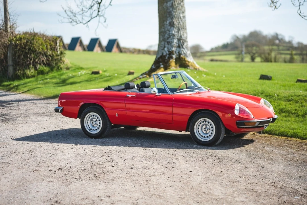 1973 Alfa Romeo Series 2 - Image 14 of 30