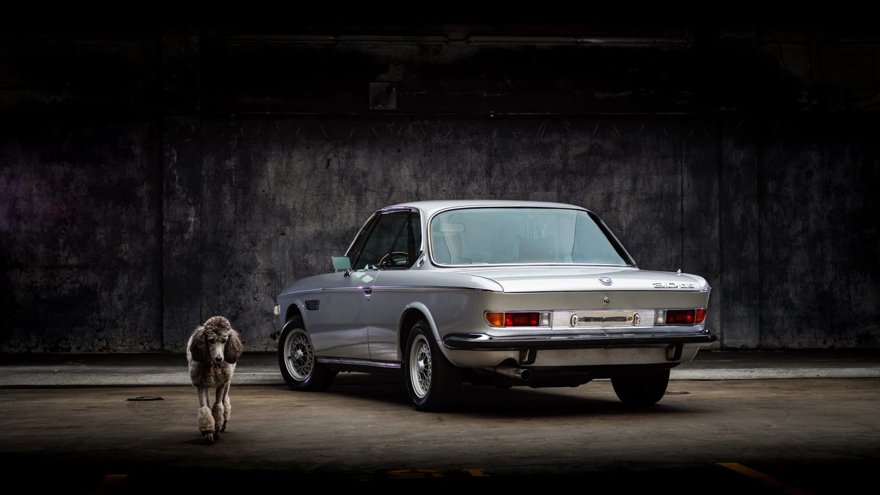 1973 BMW 3.0 CS & CSi - Image 12 of 31
