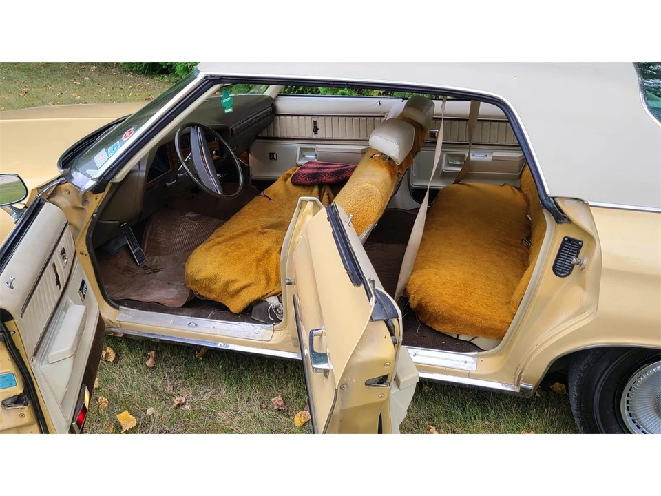 1973 Buick Centurion - Image 10 of 16