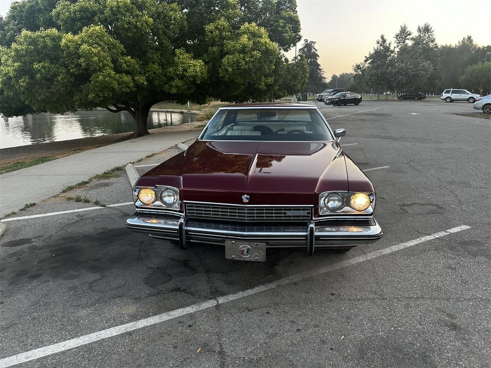 1973 Buick Electra - Image 8 of 31