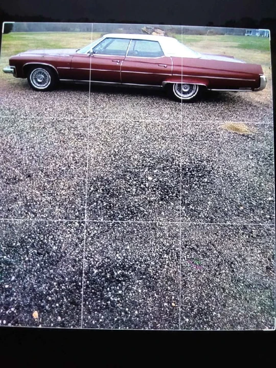 1973 Buick Electra - Image 3 of 9