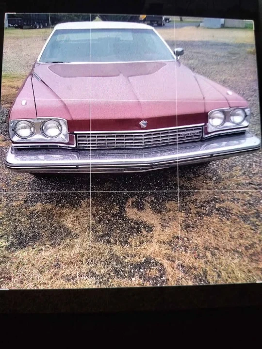 1973 Buick Electra - Image 2 of 9
