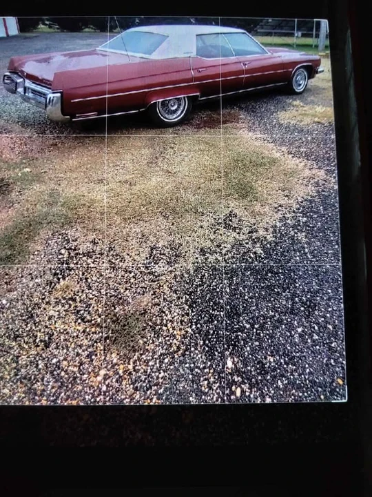 1973 Buick Electra - Image 4 of 9