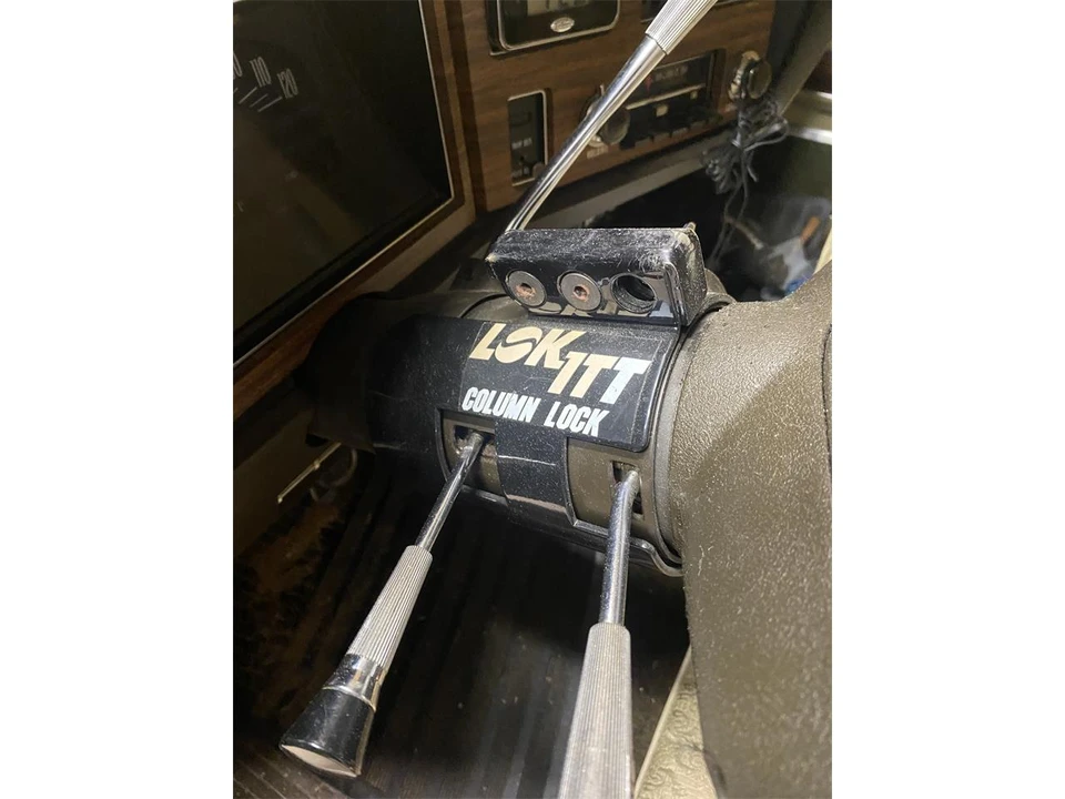 1973 Buick Electra - Image 6 of 18