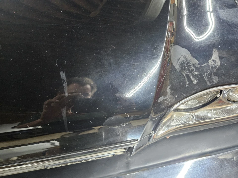 1973 Buick Electra - Image 8 of 31
