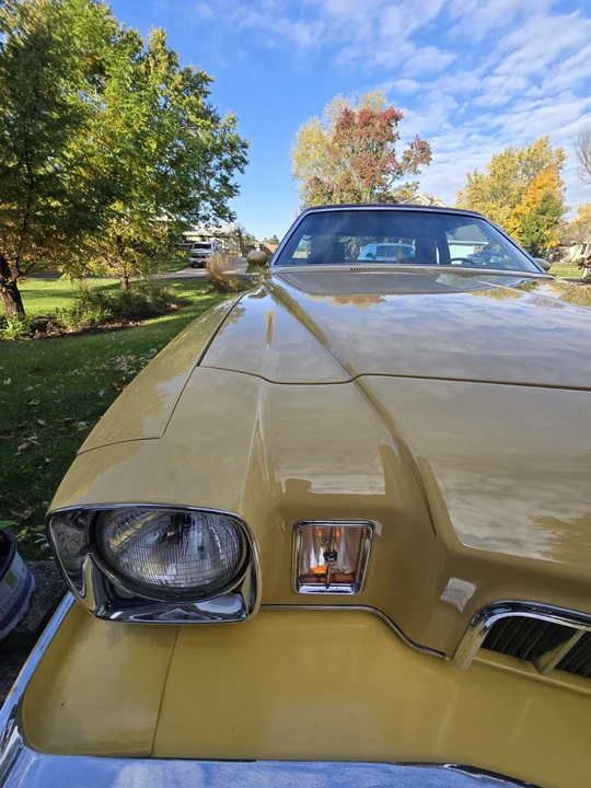1973 Buick Regal - Image 7 of 22