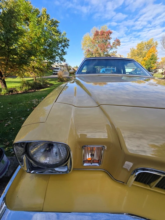 1973 Buick Regal - Image 19 of 21