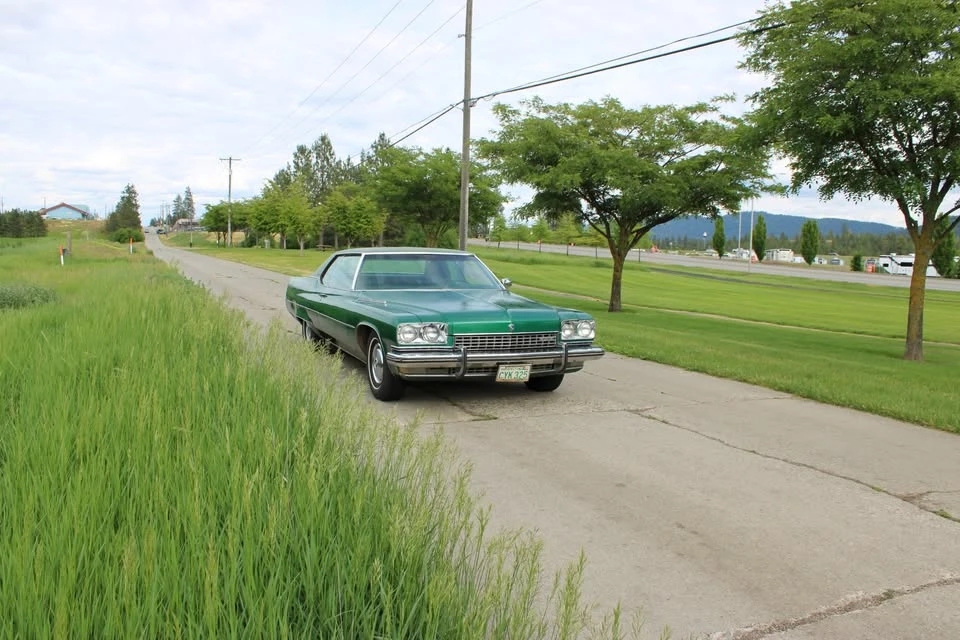 1973 Buick Electra - Image 9 of 20