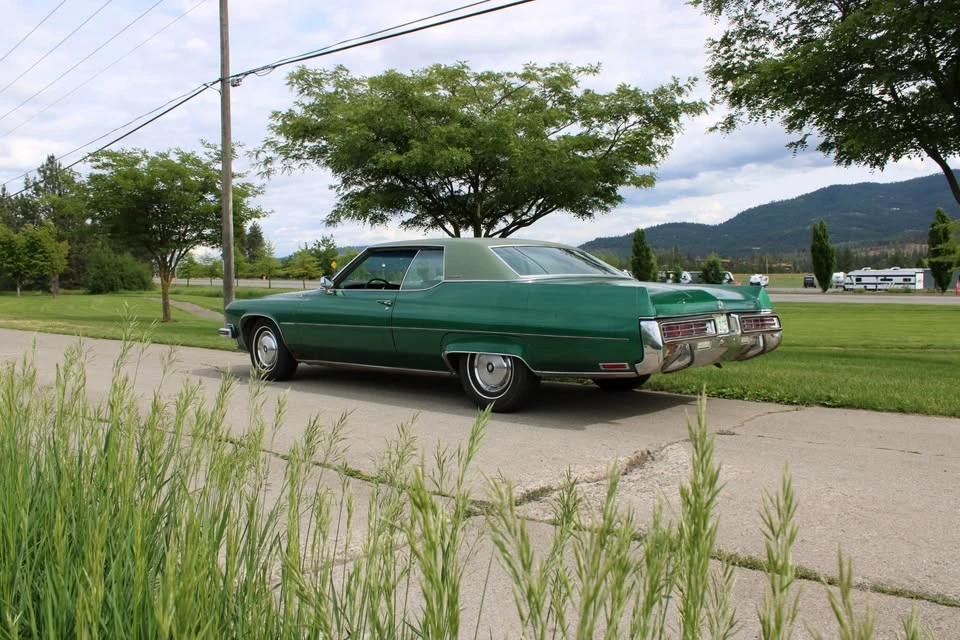 1973 Buick Electra - Image 8 of 20