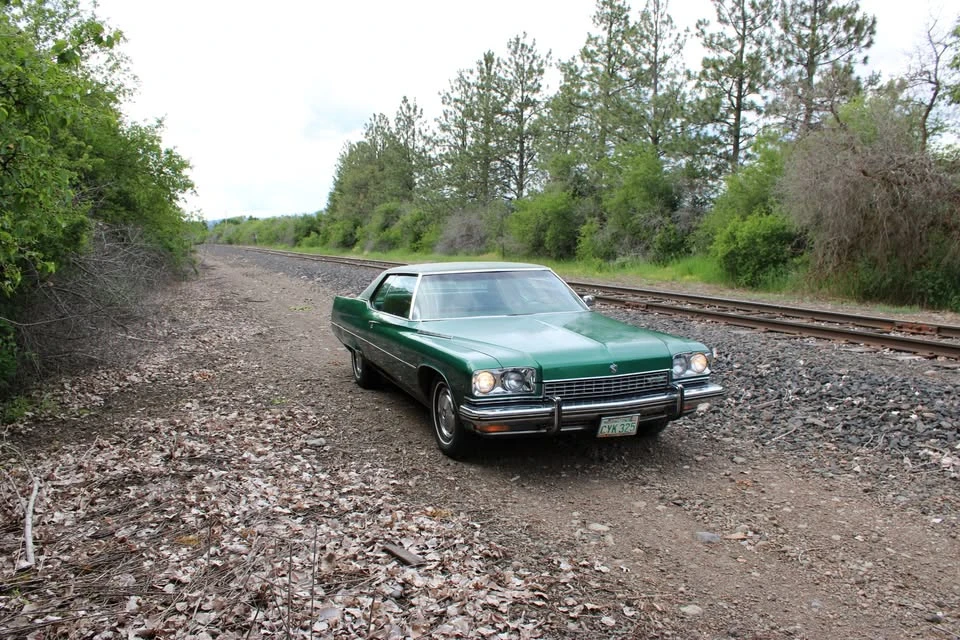 1973 Buick Electra - Image 3 of 20