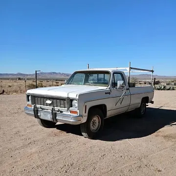 1973 Chevrolet 1500 Regular Cab Custom Deluxe