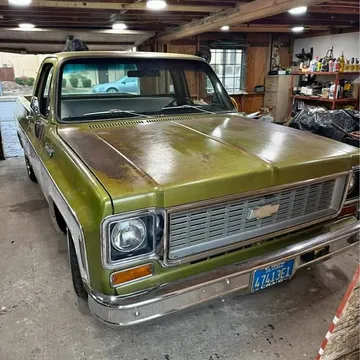 1973 Chevrolet 1500 Regular Cab