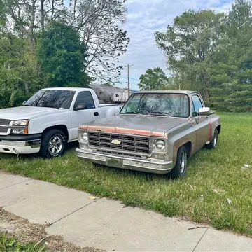 1973 Chevrolet 1500 Regular Cab Short Bed