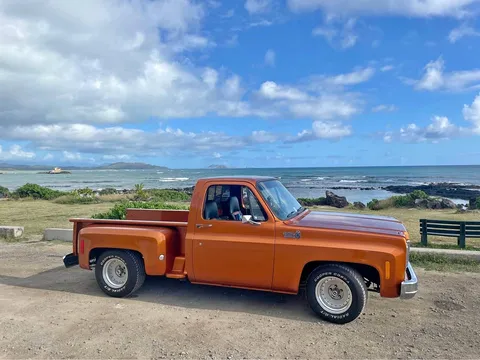 1973 Chevrolet C10 Custom