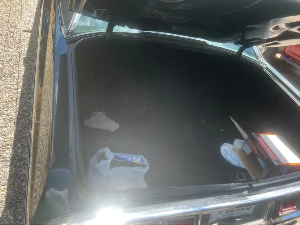 1973 Chevrolet Caprice - Image 8 of 10