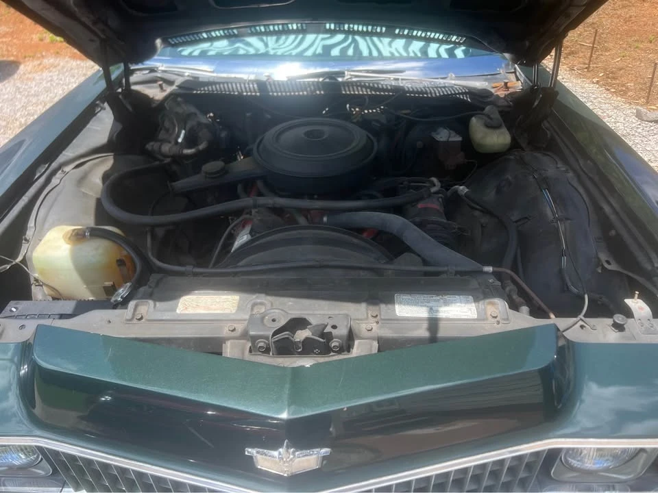 1973 Chevrolet Caprice - Image 7 of 10