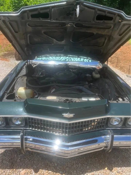1973 Chevrolet Caprice - Image 6 of 10