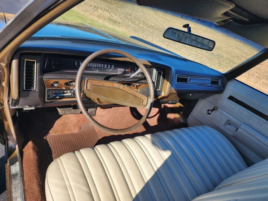 1973 Chevrolet Caprice - Image 10 of 18