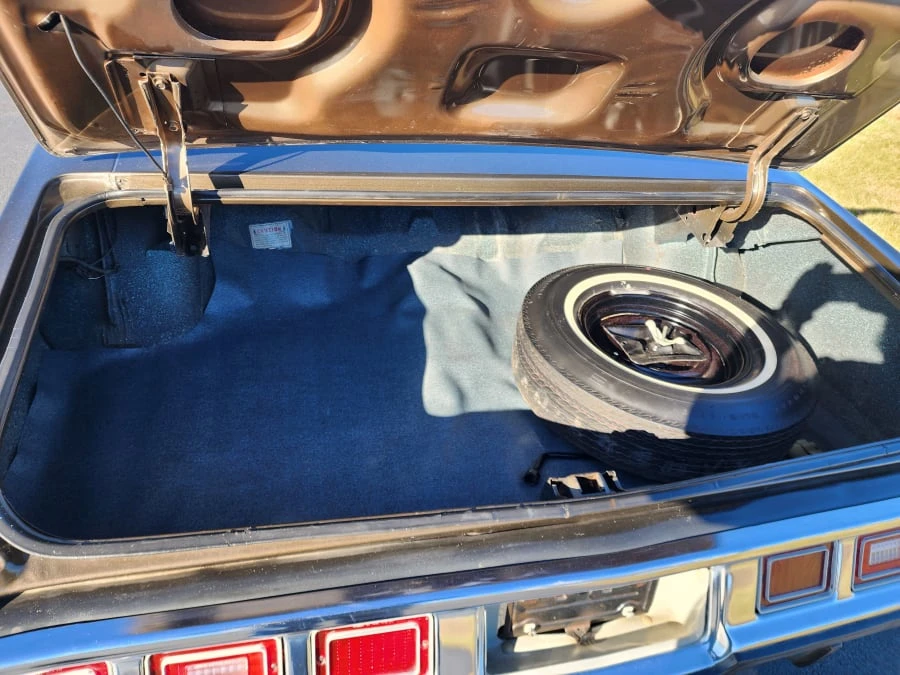 1973 Chevrolet Caprice - Image 17 of 18