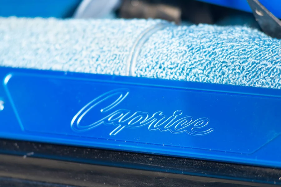 1973 Chevrolet Caprice - Image 22 of 31