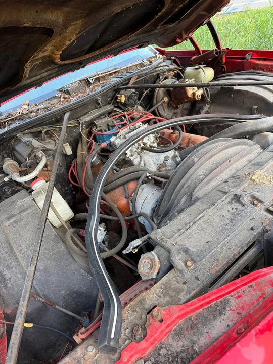 1973 Chevrolet Chevelle 3rd Gen - Image 3 of 5