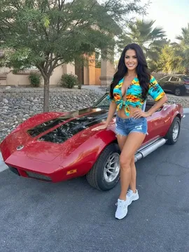 1973 Chevrolet Corvette Convertible 2D