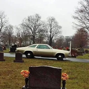 1973 Chevrolet Malibu
