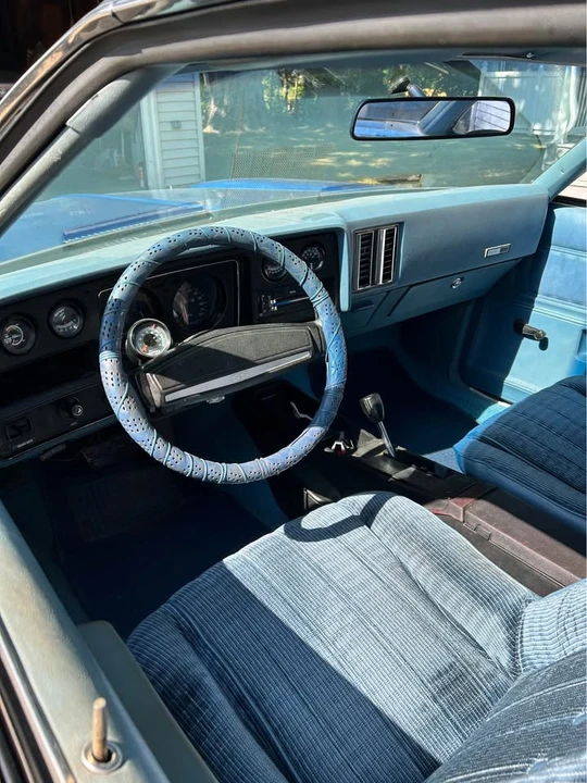 1973 Chevrolet Malibu - Image 6 of 9