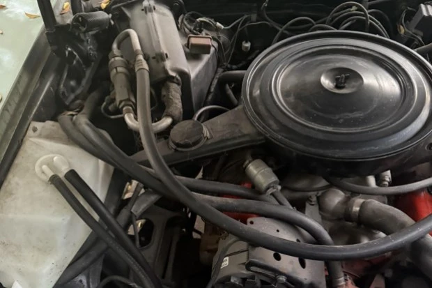 1973 Chevrolet Nova 4th Gen - Image 6 of 8