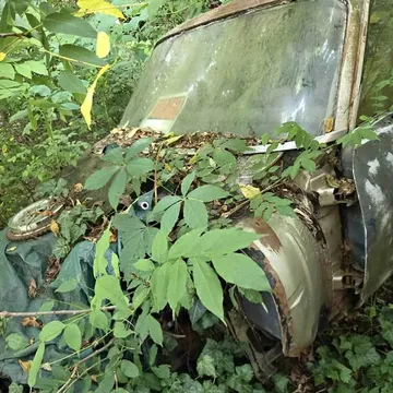 1973 Chevrolet Nova