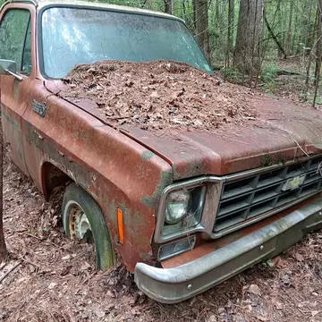1973 Chevrolet C10