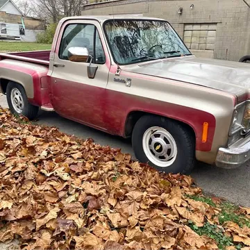 1973 Chevrolet C10 Truck