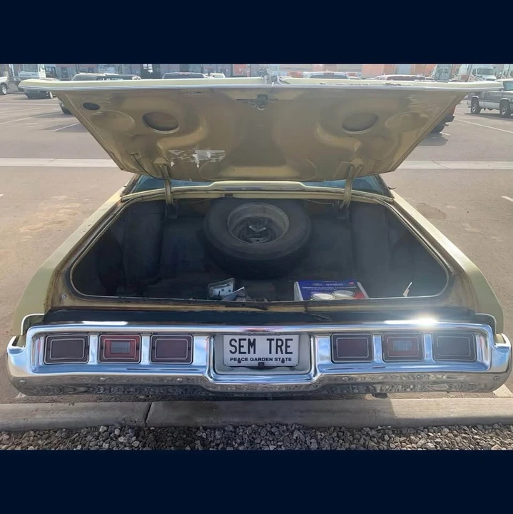 1973 Chevrolet Caprice - Image 11 of 11