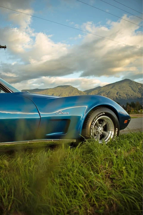 1973 Chevrolet Corvette C3 - Image 1 of 9