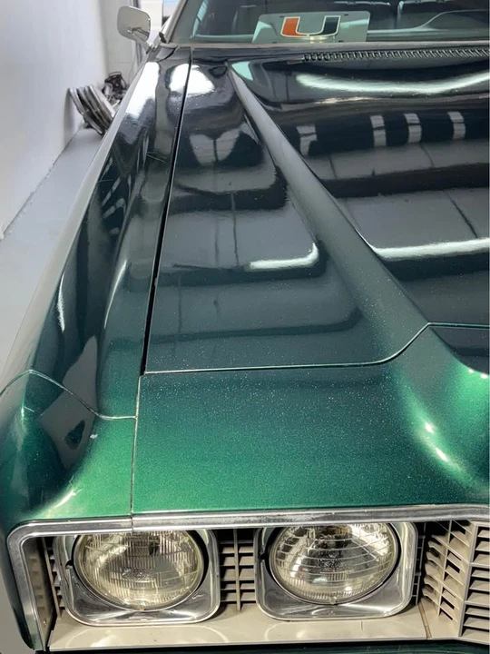 1973 Chevrolet Caprice - Image 3 of 10