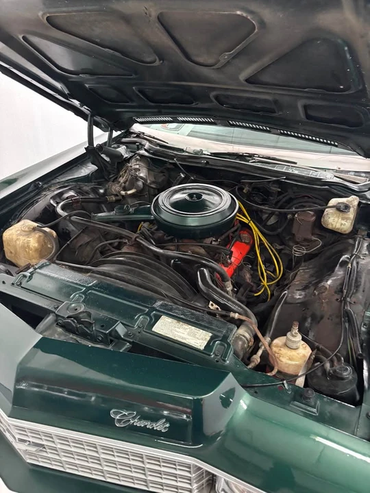 1973 Chevrolet Caprice - Image 10 of 10