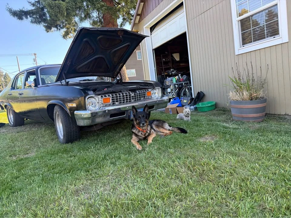 1973 Chevrolet Nova 3rd Gen - Image 3 of 10