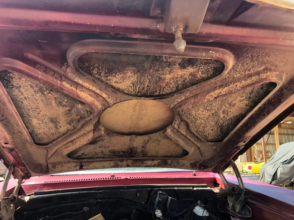 1973 Chevrolet Nova 3rd Gen - Image 20 of 20